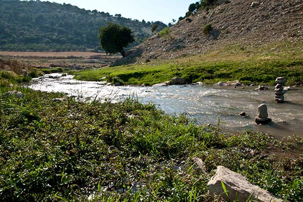 WhatsApp-Image-2024-03-11-at-18.02