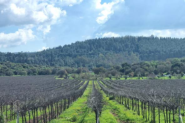 שביל-נחל-ציפורי-פנינה-צייזלר-2